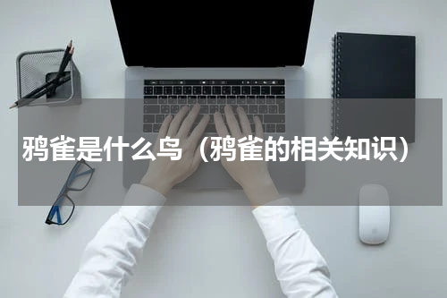 鸦雀是什么鸟（鸦雀的相关知识）