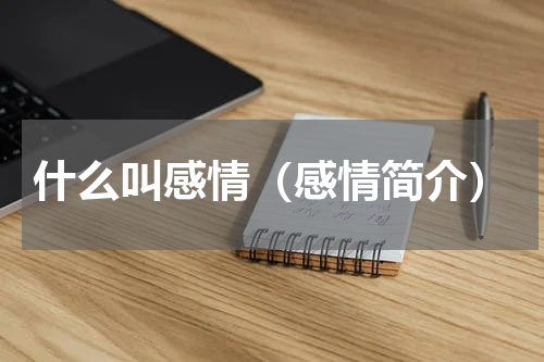 什么叫感情（感情简介）