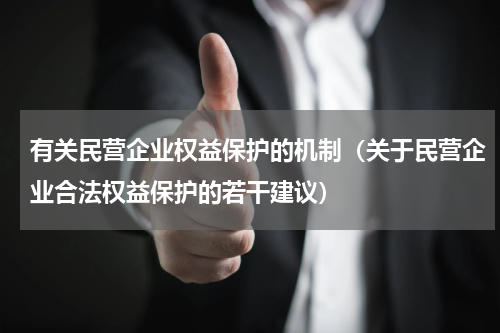 有关民营企业权益保护的机制（关于民营企业合法权益保护的若干建议）