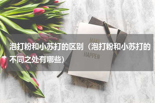 泡打粉和小苏打的区别（泡打粉和小苏打的不同之处有哪些）
