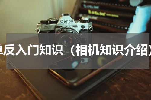 单反入门知识（相机知识介绍）