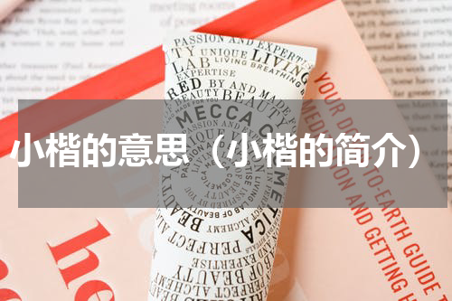 小楷的意思（小楷的简介）