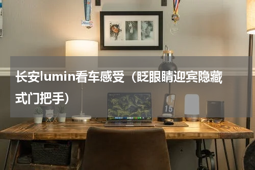 长安lumin看车感受（眨眼睛迎宾隐藏式门把手）
