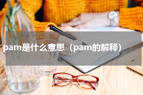 pam是什么意思（pam的解释）