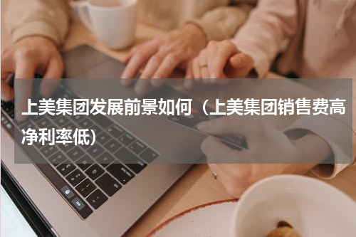 上美集团发展前景如何（上美集团销售费高净利率低）