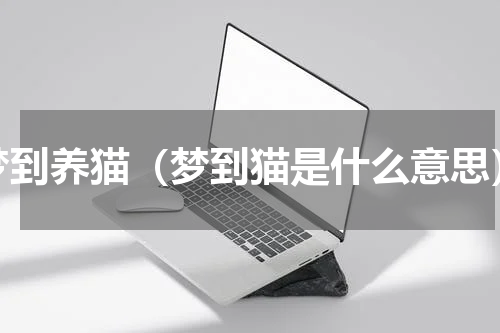 梦到养猫（梦到猫是什么意思）