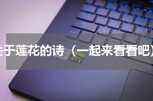 关于莲花的诗（一起来看看吧）