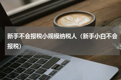新手不会报税小规模纳税人（新手小白不会报税）