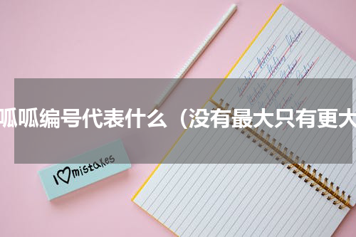 顶呱呱编号代表什么（没有最大只有更大）