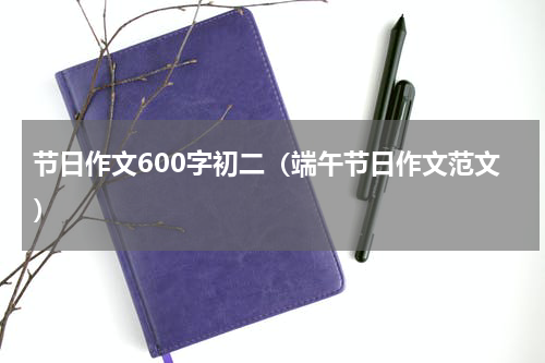 节日作文600字初二（端午节日作文范文）