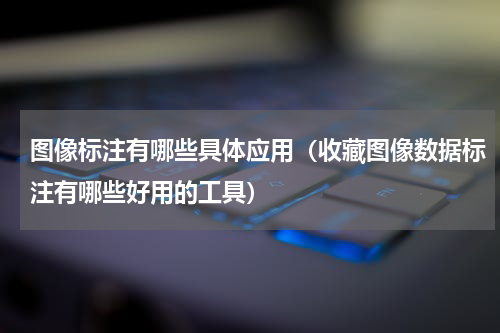 图像标注有哪些具体应用（收藏图像数据标注有哪些好用的工具）