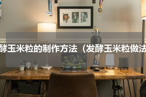 发酵玉米粒的制作方法（发酵玉米粒做法）