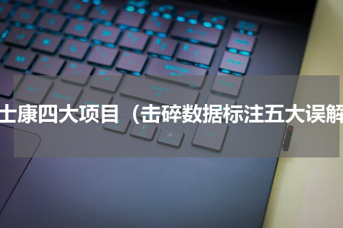 富士康四大项目（击碎数据标注五大误解）