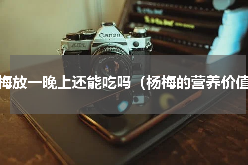 杨梅放一晚上还能吃吗（杨梅的营养价值）