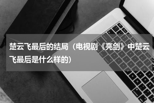 楚云飞最后的结局（电视剧《亮剑》中楚云飞最后是什么样的）