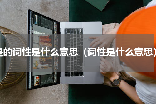是的词性是什么意思（词性是什么意思）