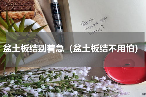 盆土板结别着急（盆土板结不用怕）