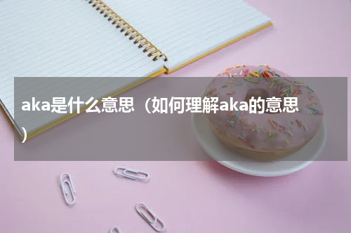 aka是什么意思（如何理解aka的意思）