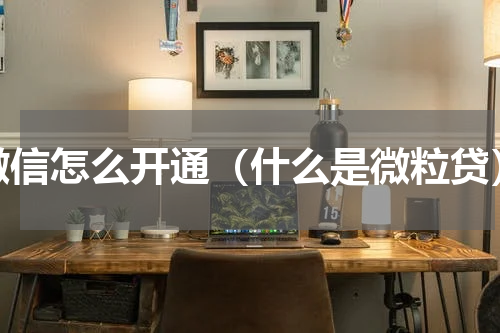 微信怎么开通（什么是微粒贷）