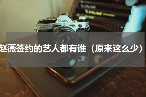 赵薇签约的艺人都有谁（原来这么少）
