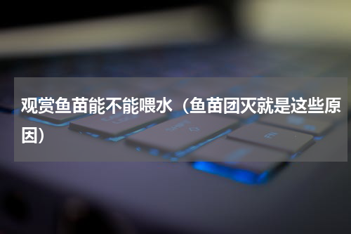 观赏鱼苗能不能喂水（鱼苗团灭就是这些原因）
