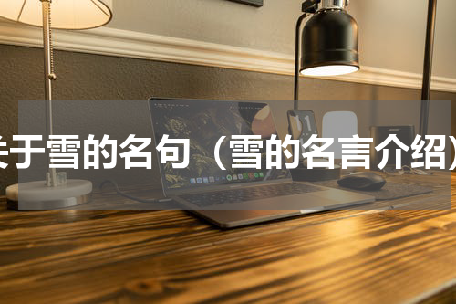 关于雪的名句（雪的名言介绍）