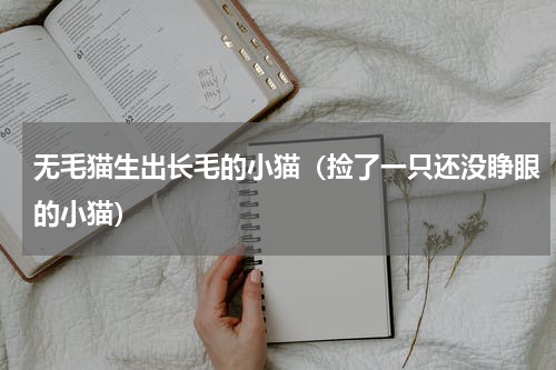 无毛猫生出长毛的小猫（捡了一只还没睁眼的小猫）