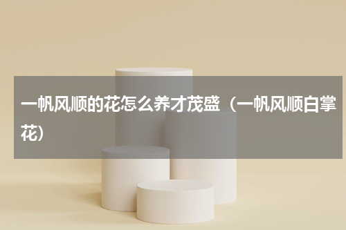 一帆风顺的花怎么养才茂盛（一帆风顺白掌花）