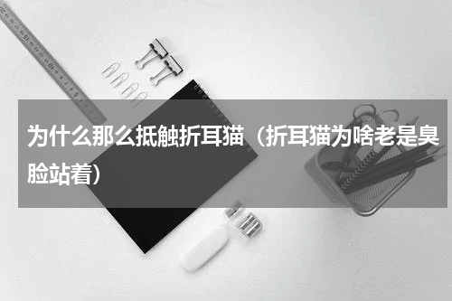 为什么那么抵触折耳猫（折耳猫为啥老是臭脸站着）