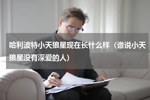 哈利波特小天狼星现在长什么样（谁说小天狼星没有深爱的人）