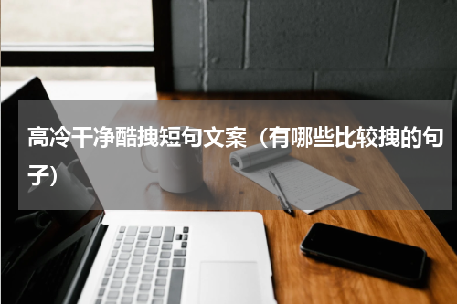 高冷干净酷拽短句文案（有哪些比较拽的句子）