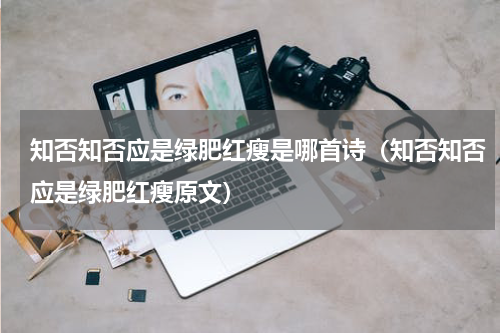 知否知否应是绿肥红瘦是哪首诗（知否知否应是绿肥红瘦原文）