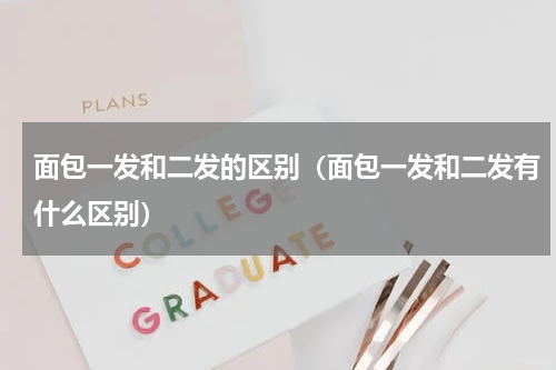 面包一发和二发的区别（面包一发和二发有什么区别）