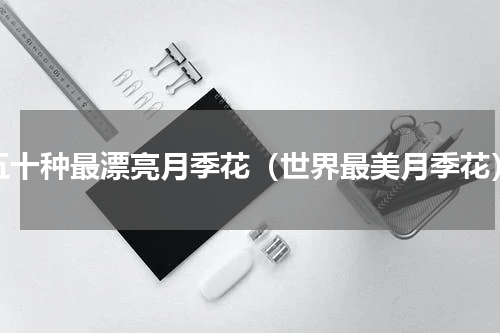 五十种最漂亮月季花（世界最美月季花）