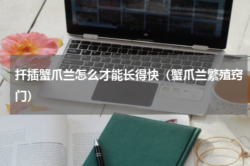 扦插蟹爪兰怎么才能长得快（蟹爪兰繁殖窍门）