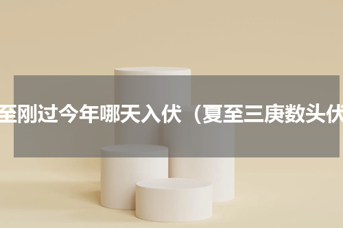 夏至刚过今年哪天入伏（夏至三庚数头伏）