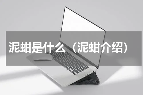 泥蚶是什么（泥蚶介绍）