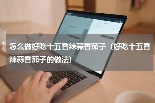 怎么做好吃十五香辣蒜香茄子（好吃十五香辣蒜香茄子的做法）