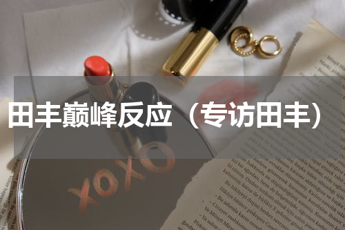 田丰巅峰反应（专访田丰）