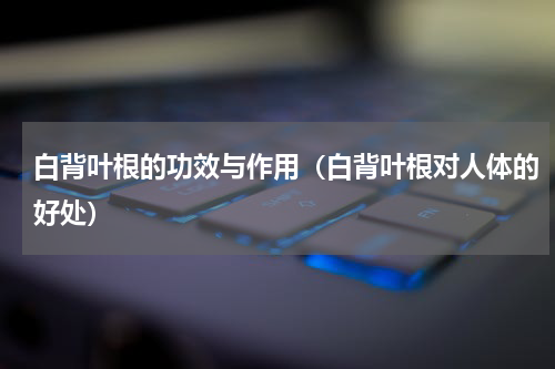 白背叶根的功效与作用（白背叶根对人体的好处）