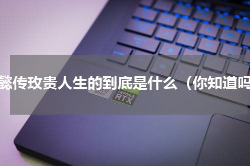 如懿传玫贵人生的到底是什么（你知道吗）