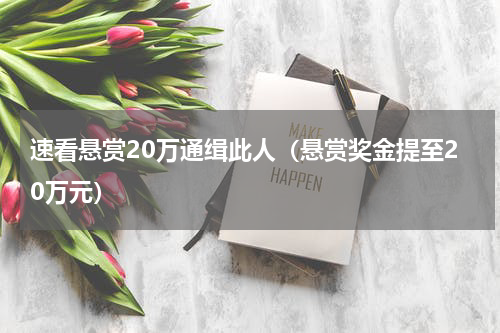 速看悬赏20万通缉此人（悬赏奖金提至20万元）