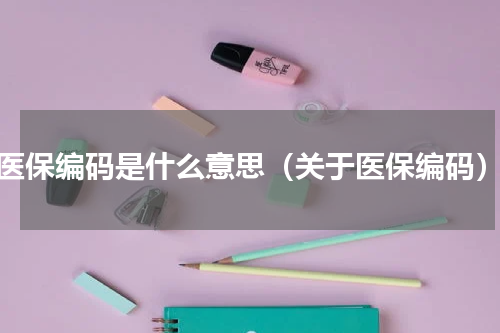 医保编码是什么意思（关于医保编码）