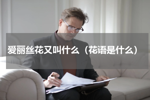 爱丽丝花又叫什么（花语是什么）