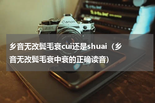 乡音无改鬓毛衰cui还是shuai（乡音无改鬓毛衰中衰的正确读音）