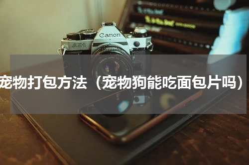宠物打包方法（宠物狗能吃面包片吗）