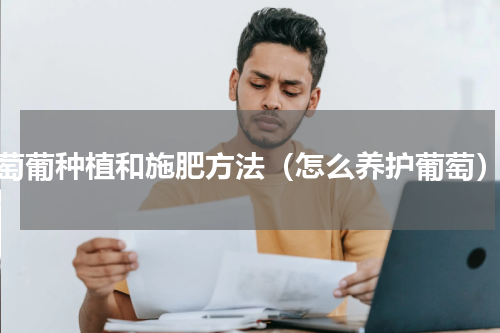 萄葡种植和施肥方法（怎么养护葡萄）