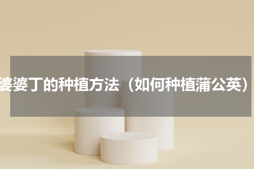 婆婆丁的种植方法（如何种植蒲公英）