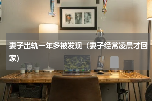 妻子出轨一年多被发现（妻子经常凌晨才回家）