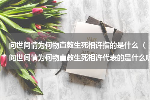 问世间情为何物直教生死相许指的是什么（问世间情为何物直教生死相许代表的是什么呢）